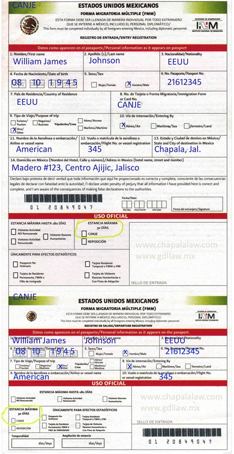 Printable Fmm Form